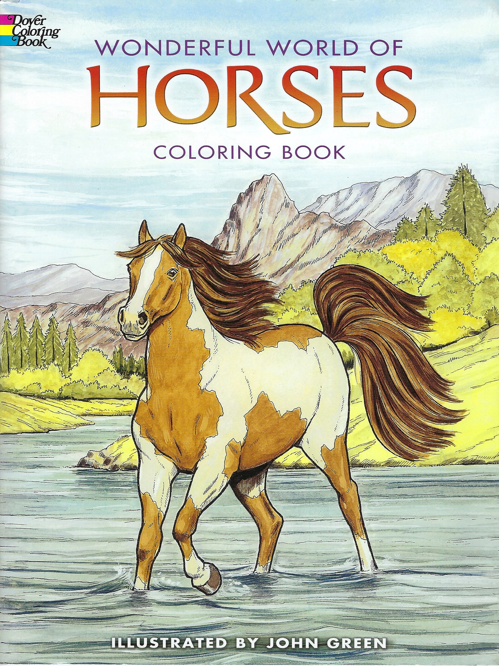 WONDERFUL WORLD OF HORSES COLORING BOOK